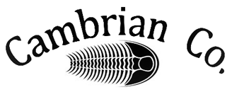 Cambrian Co