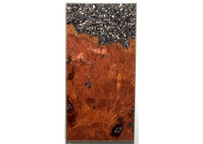 Redwood Tryptic with mussle shell Wall Art